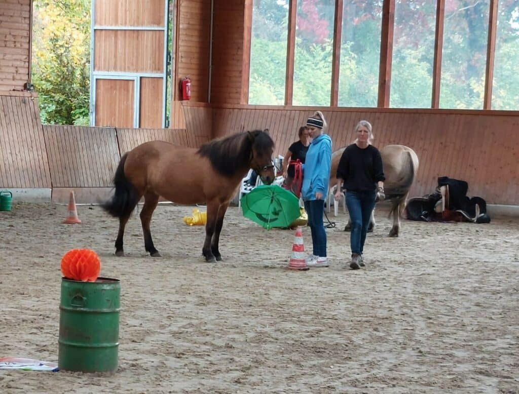 20221015 Tineda Moreno 2 Horse Agility Training mit Petra Tinedo-Moreno