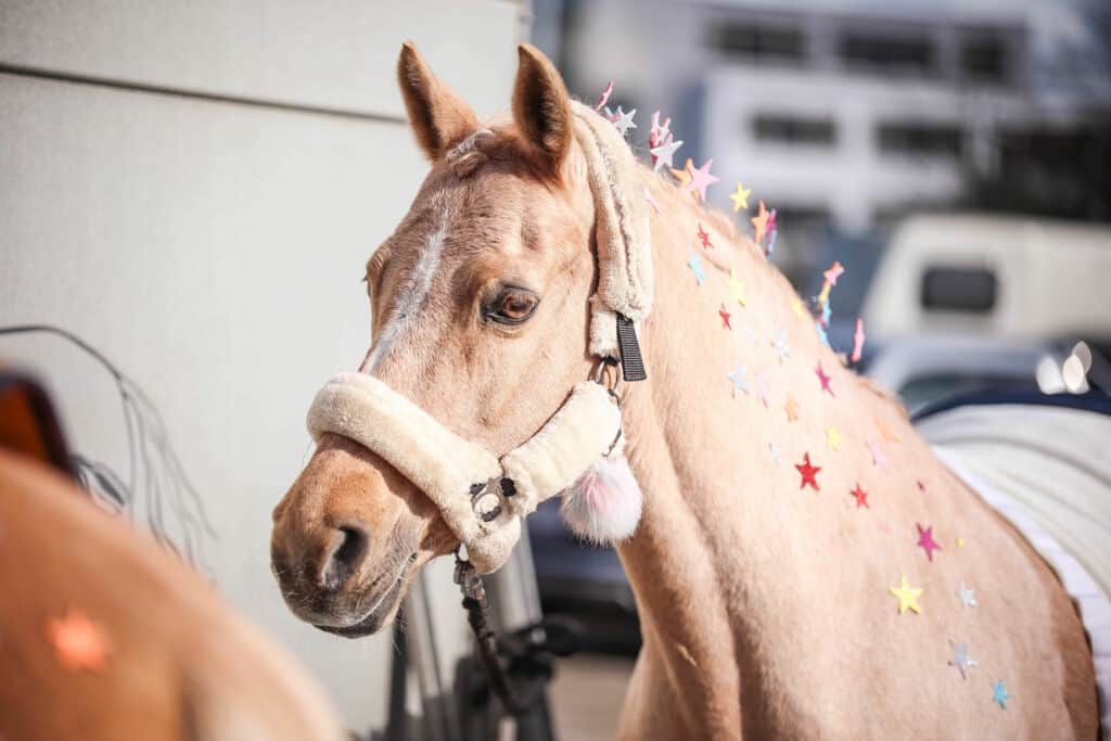 Equitana2023 1 Equitana Essen 2023 - Pony-Quadrille startet beim Show Cup der Uelzener Versicherungen