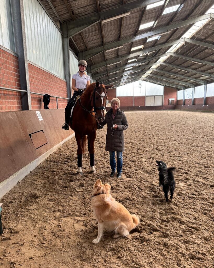 03 Ulrike Nivelle 01 „Für gutes Reiten kann ich mich immer wieder begeistern" - Ulrike Nivelle zu Gast auf dem Jägerhof